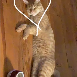 Meet your Posher, Steven